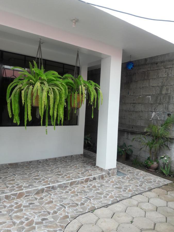 Suzet House Guest House Oxapampa Exterior photo